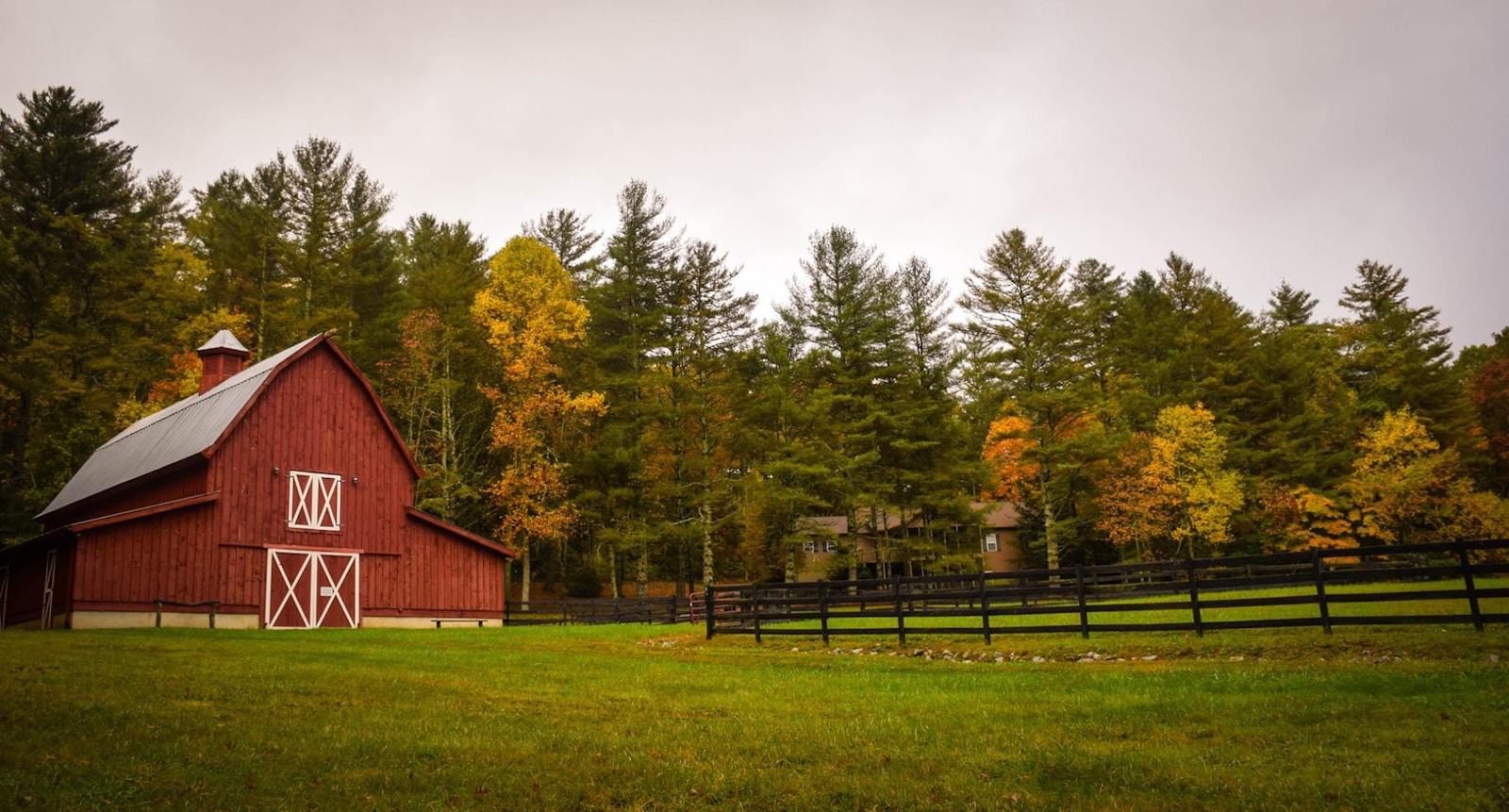 barn surrounded by trees farm